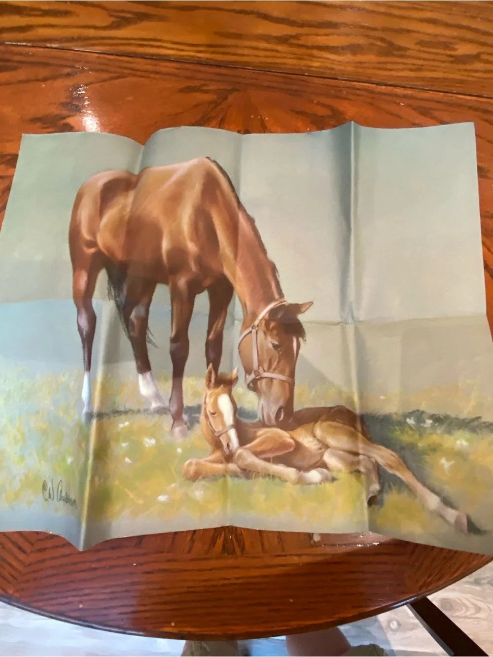 Old Book- Lone Cowboy by Will James also includes a lithograph by CW Anderson